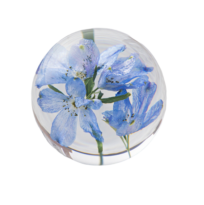 Preserved Delphinium Crystal Glass Resin Lens Ball