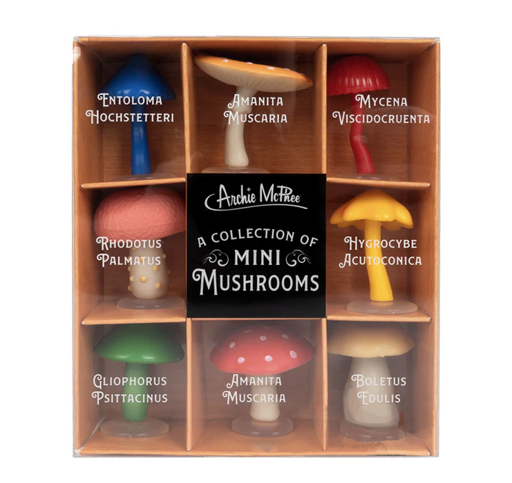 Mini Mushroom Set