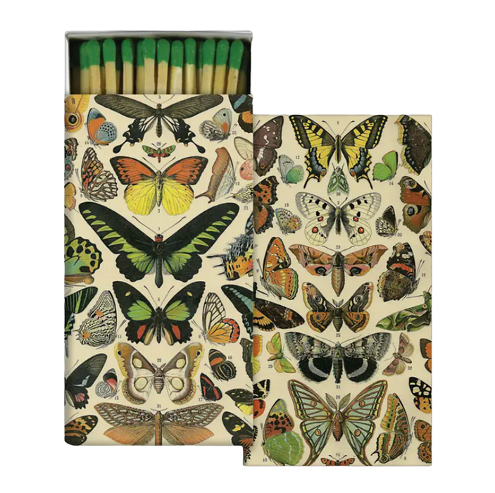 Butterfly Specimens Matches and Match Box