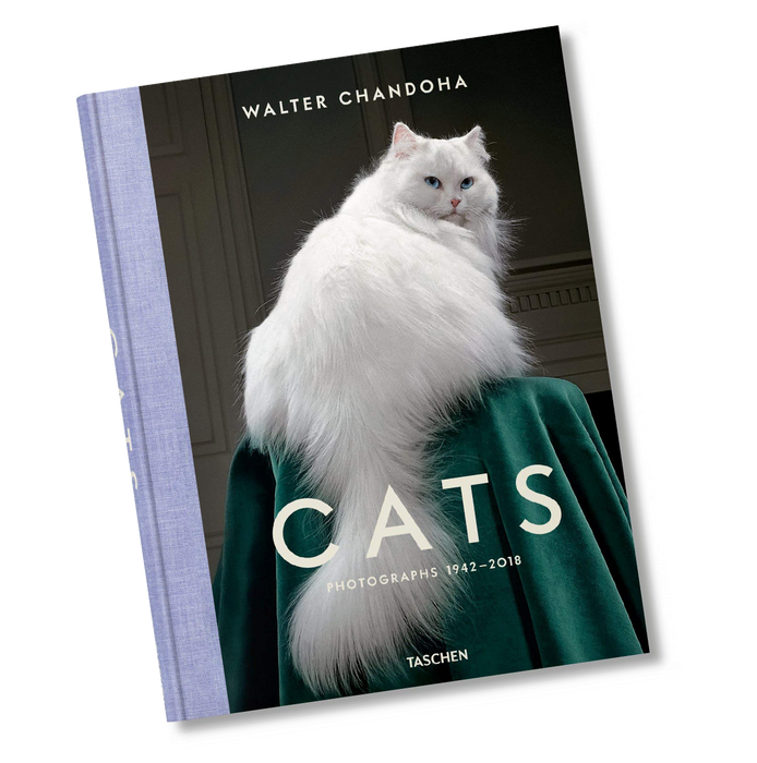 Cats: Photographs 1942 - 2018