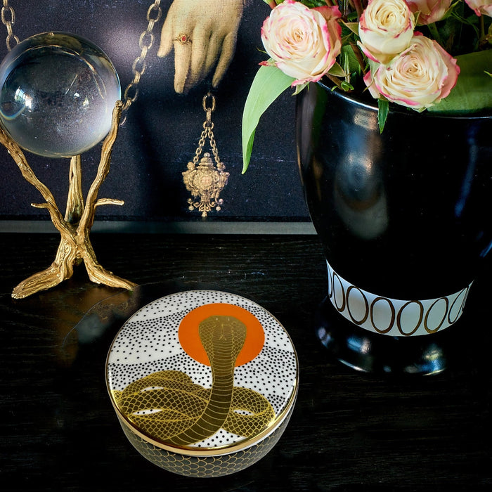 Cobra Rising Ceramic Box