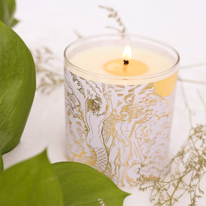 Hydra Candle