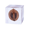 Sola Cubes