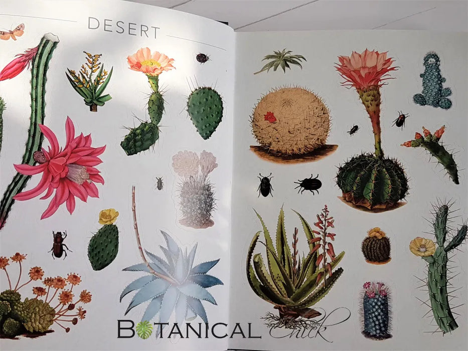 DK Sticker Anthologies