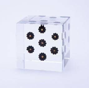 Japanese Sola Cubes