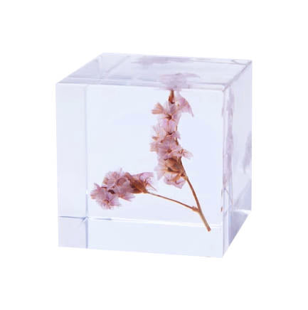 Japanese Sola Cubes